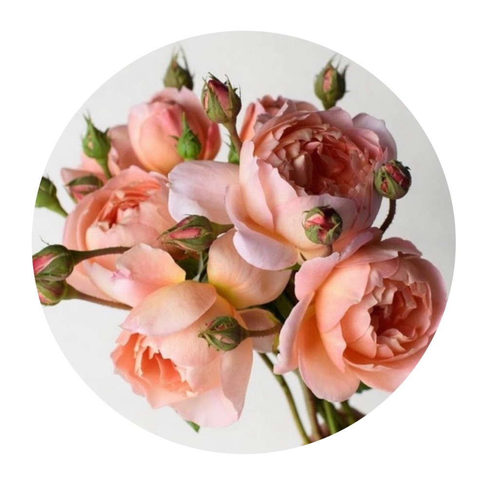 Meet your Posher, Lucia